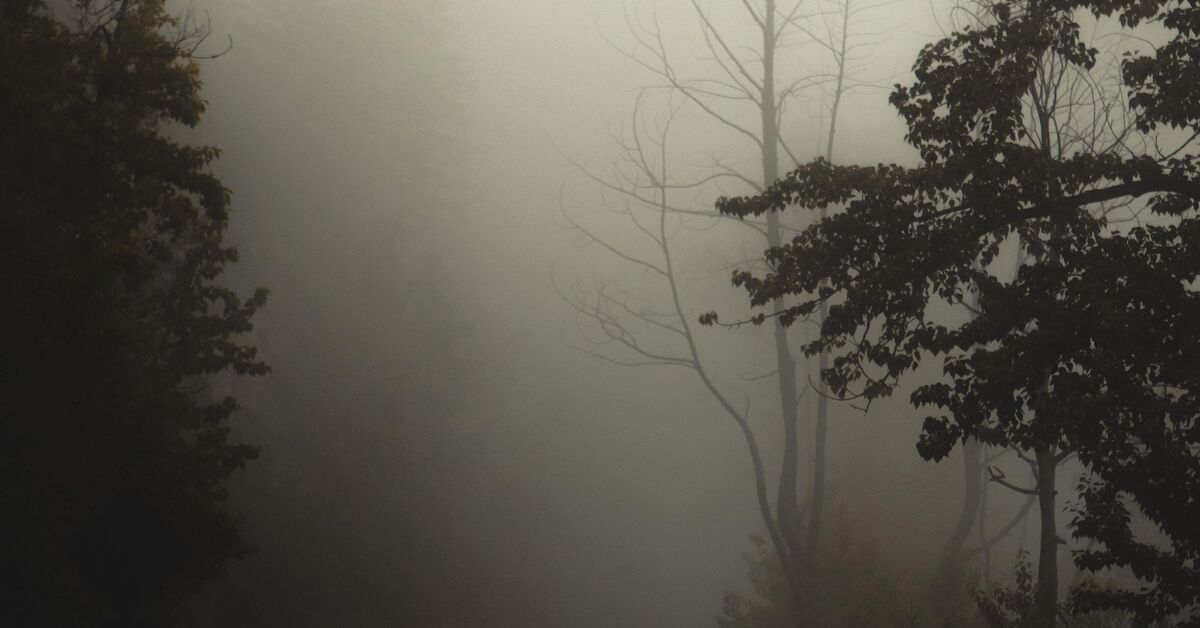 Autofahren bei Nebel » worauf ist zu achten
