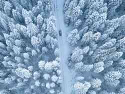 Ein Auto fährt durch eine beschneite Straße, neben der Straße sind schneebedeckte Bäume. Aus vogelperspektive fotografiert.